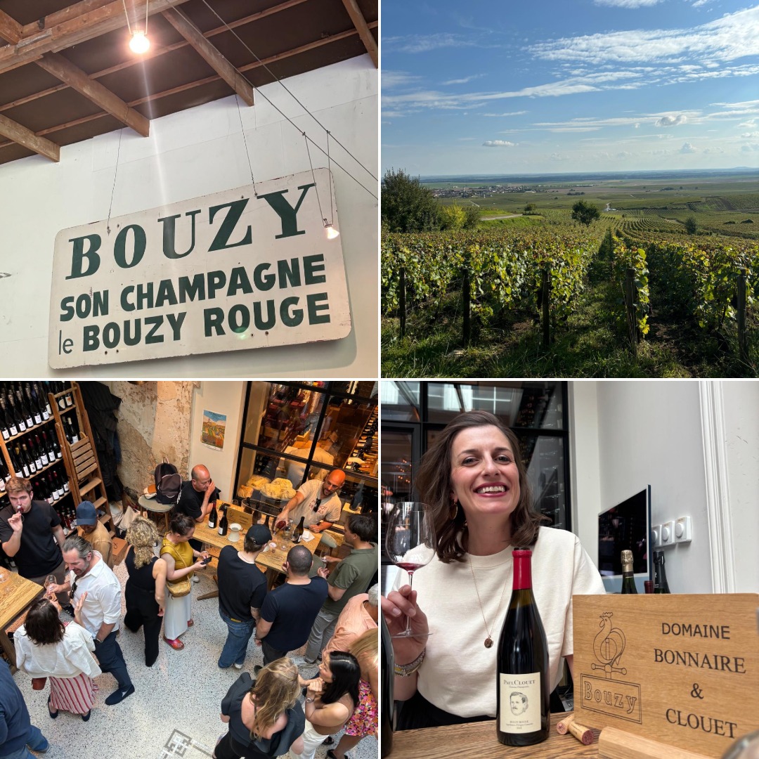 L’Académie des Vins de Bouzy.