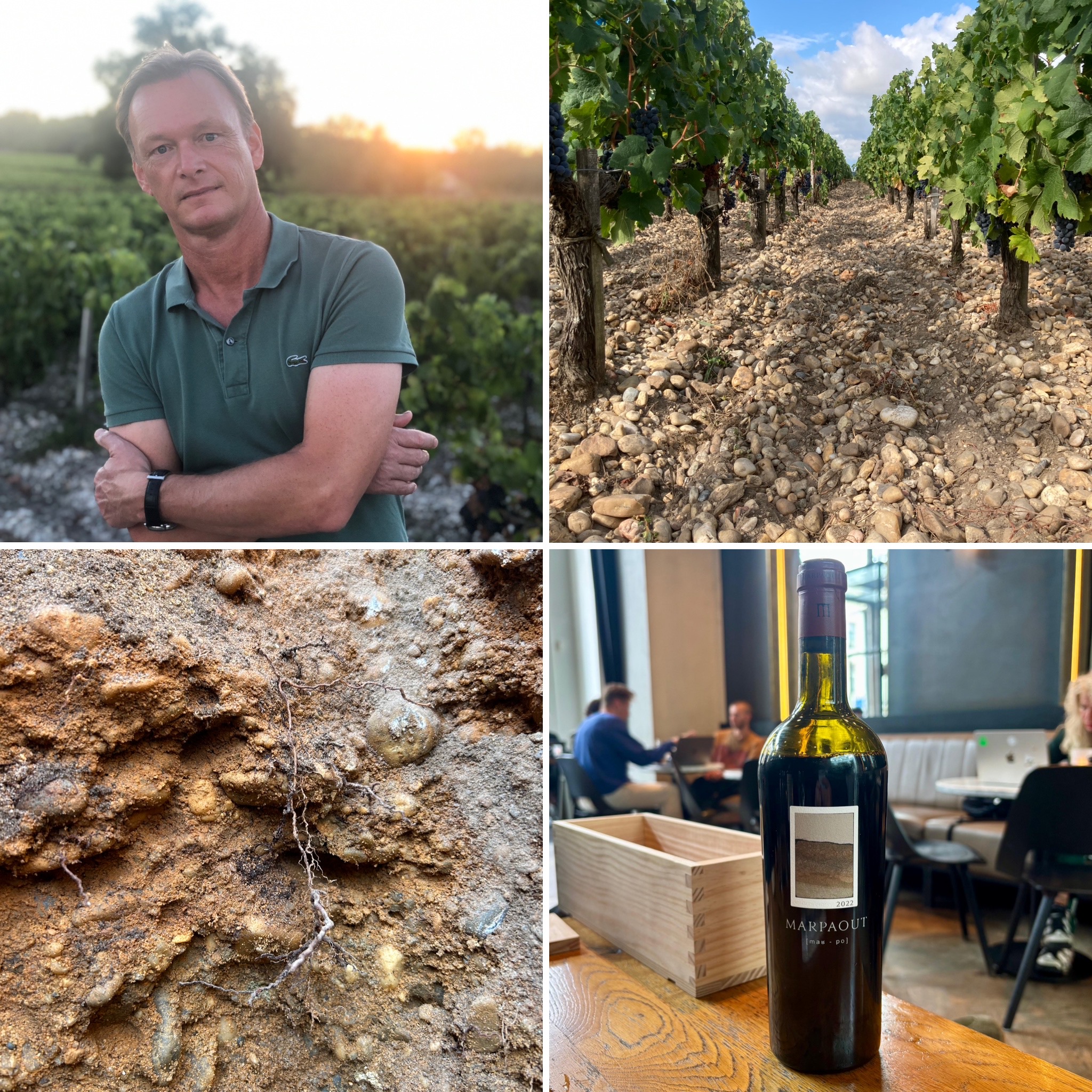 Marpaout, the new Merlot sensation by Chateau Branas Grand Poujeaux.