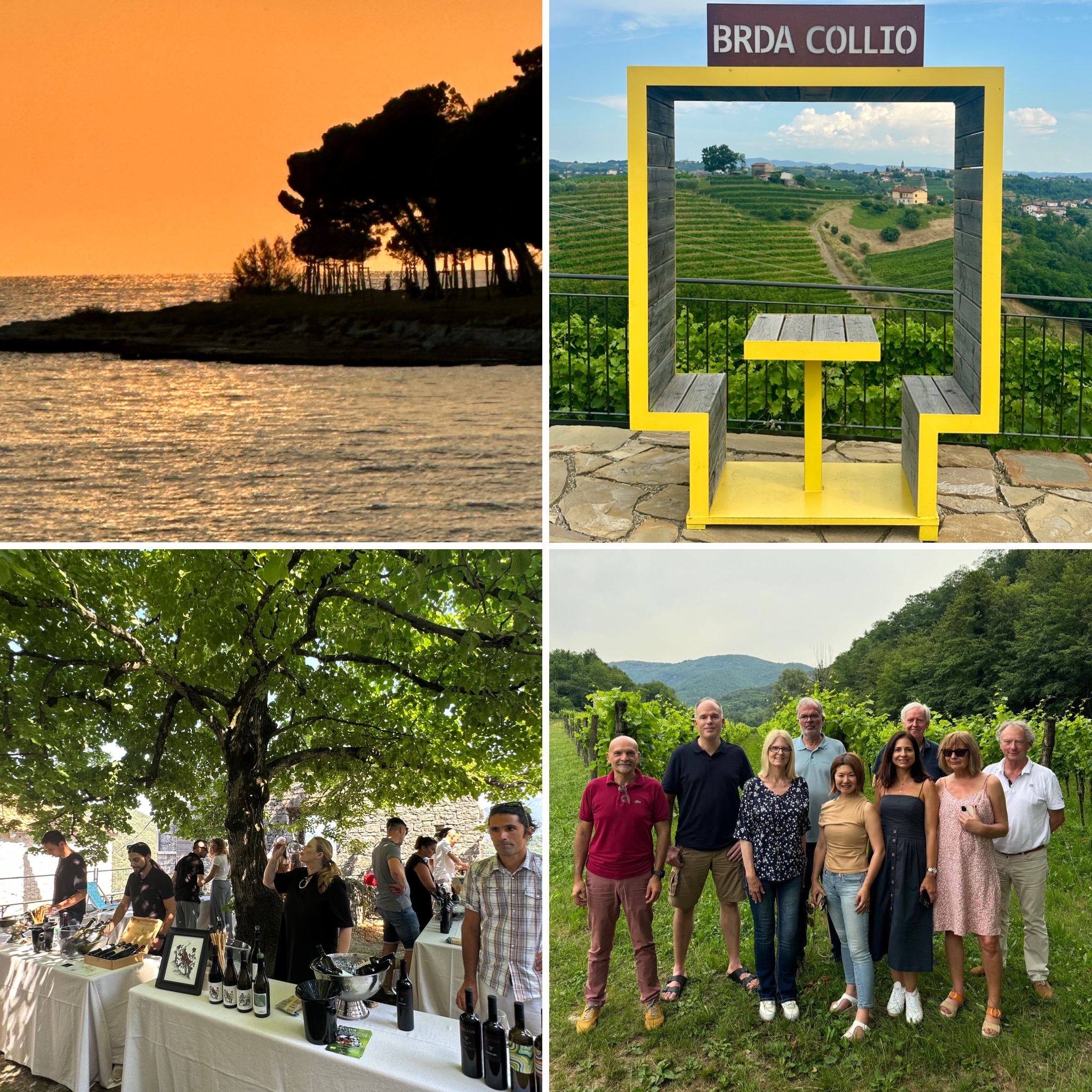 Wine Regions of the Adriatic Coast.