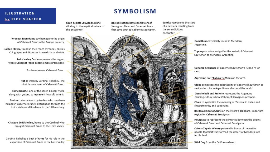 The Label of Birth of Cabernet.