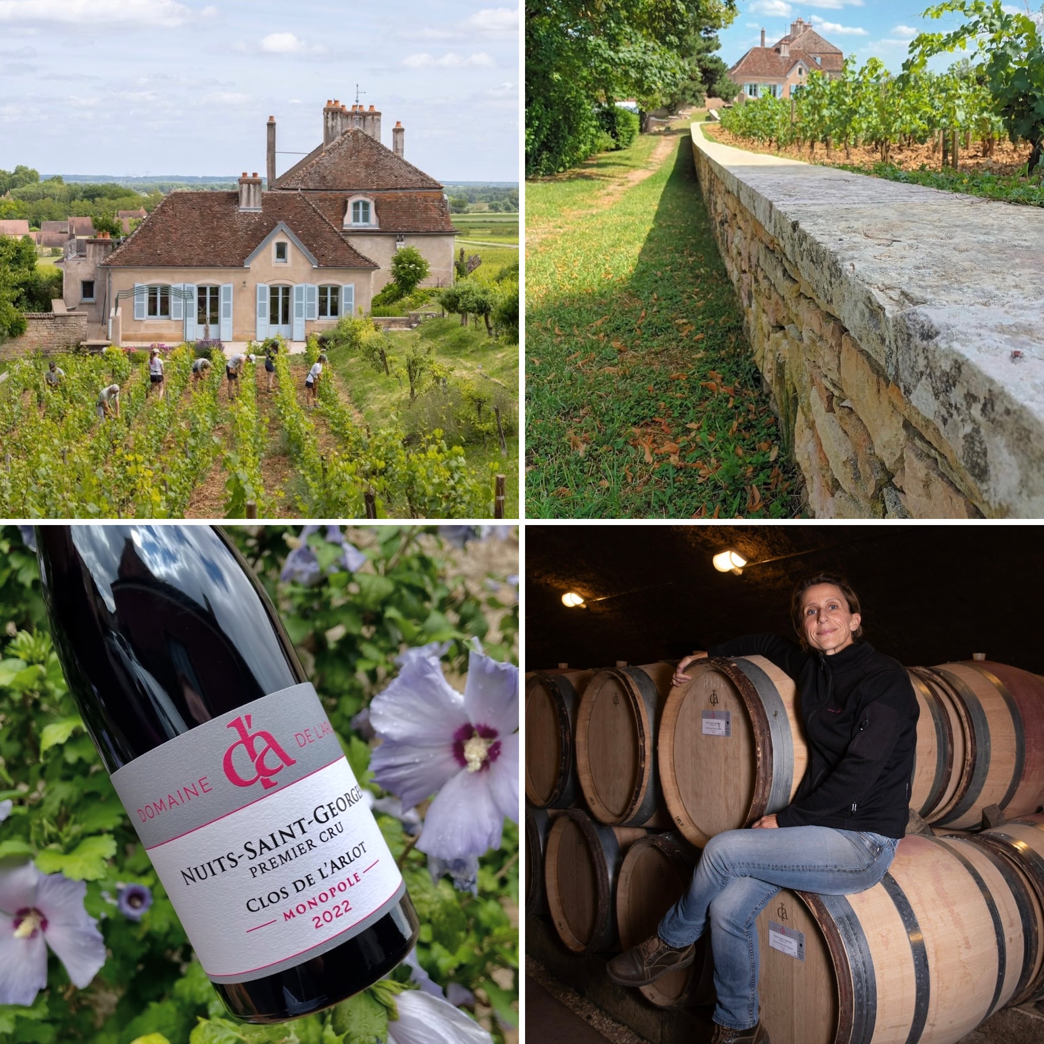 Domaine De L'Arlot, Nuits Saint George, Burgundy.