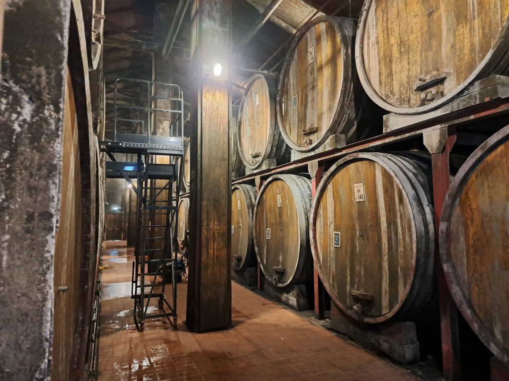  In Fontanafredda’s historic cellar, traditional botti rest in quiet rhythm — shaping Barolo not for today, but for time.