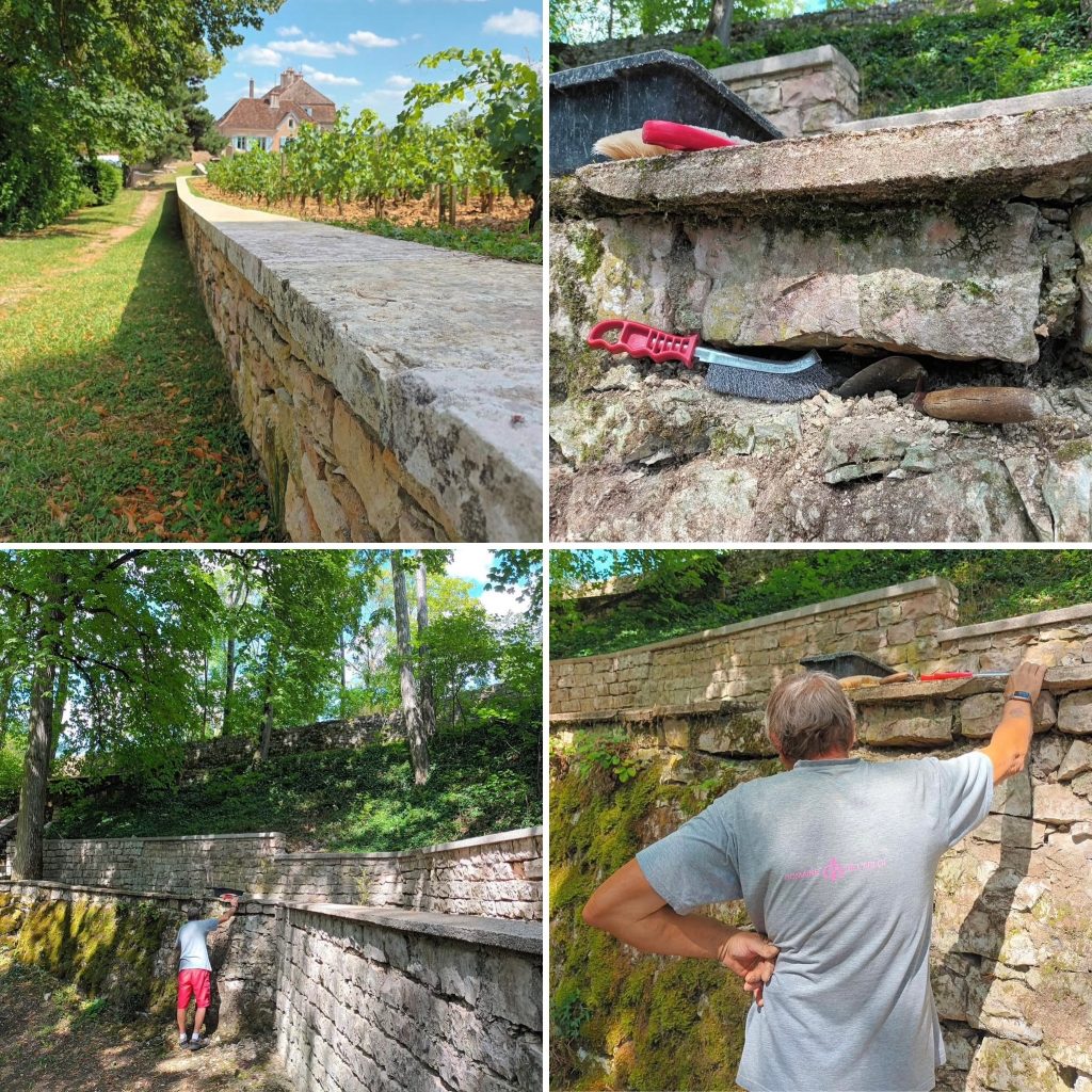 Domaine De L'Arlot works hard, not only in their vineyards, but also on the stone walls surrounding the Domaine.