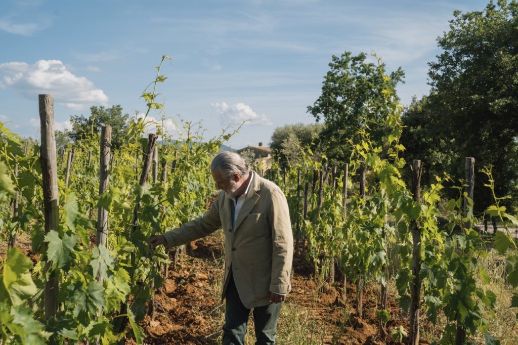 Francesco Marone Cinzano in the Col d'Orca Vineyards.