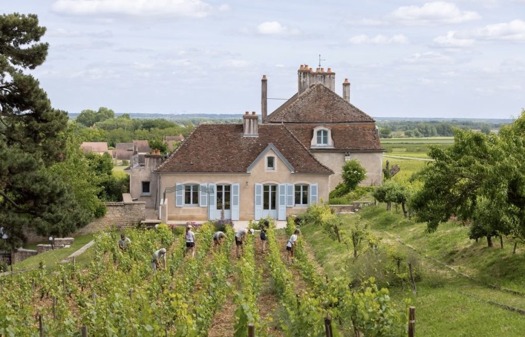 The Future of Domaine De L'Arlot is healthy and bright.