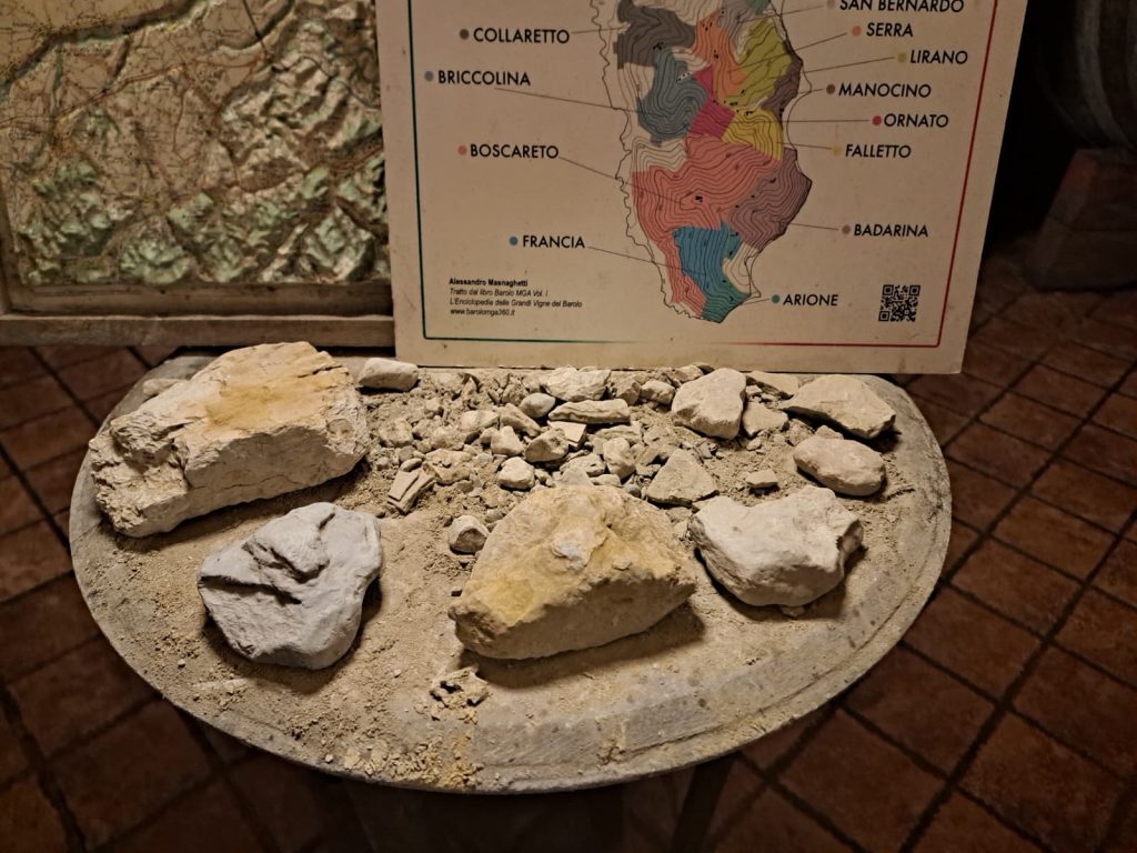 Soils under scrutiny at Ettore Germano — a reminder that great Barolo begins with geology.