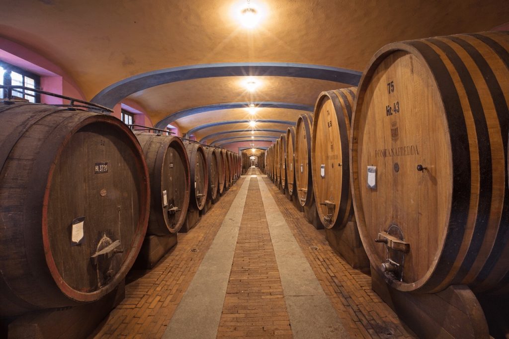 Here, tradition holds its weight — but the path ahead remains open. At Fontanafredda, leadership means leaving room for others to walk alongside.