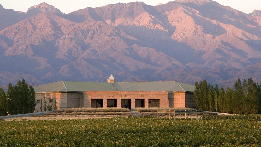 Salentein’s cross-shaped winery stands quietly among the vines, framed by the Andes - a bold architectural statement built to serve both gravity and grace.