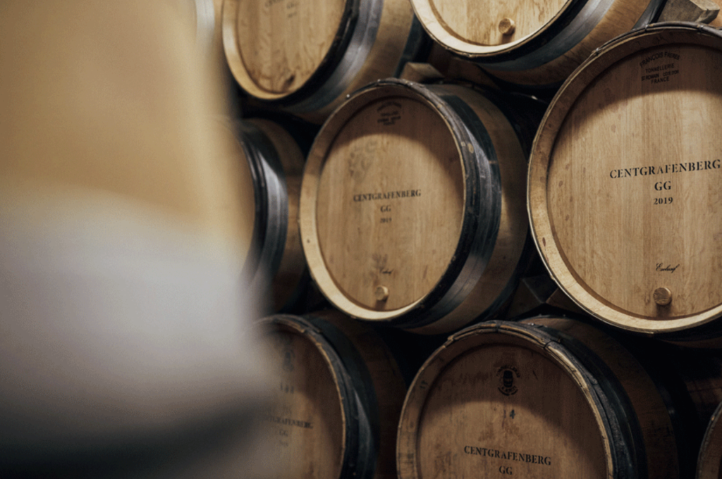 The Barrel Cellar at Weingut Rudolf Fürst.