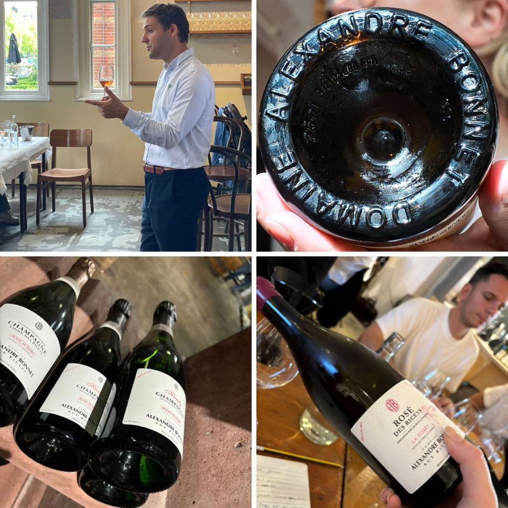 A Beautiful Selection of Wines, Showing the Diversity of Les Riceys.