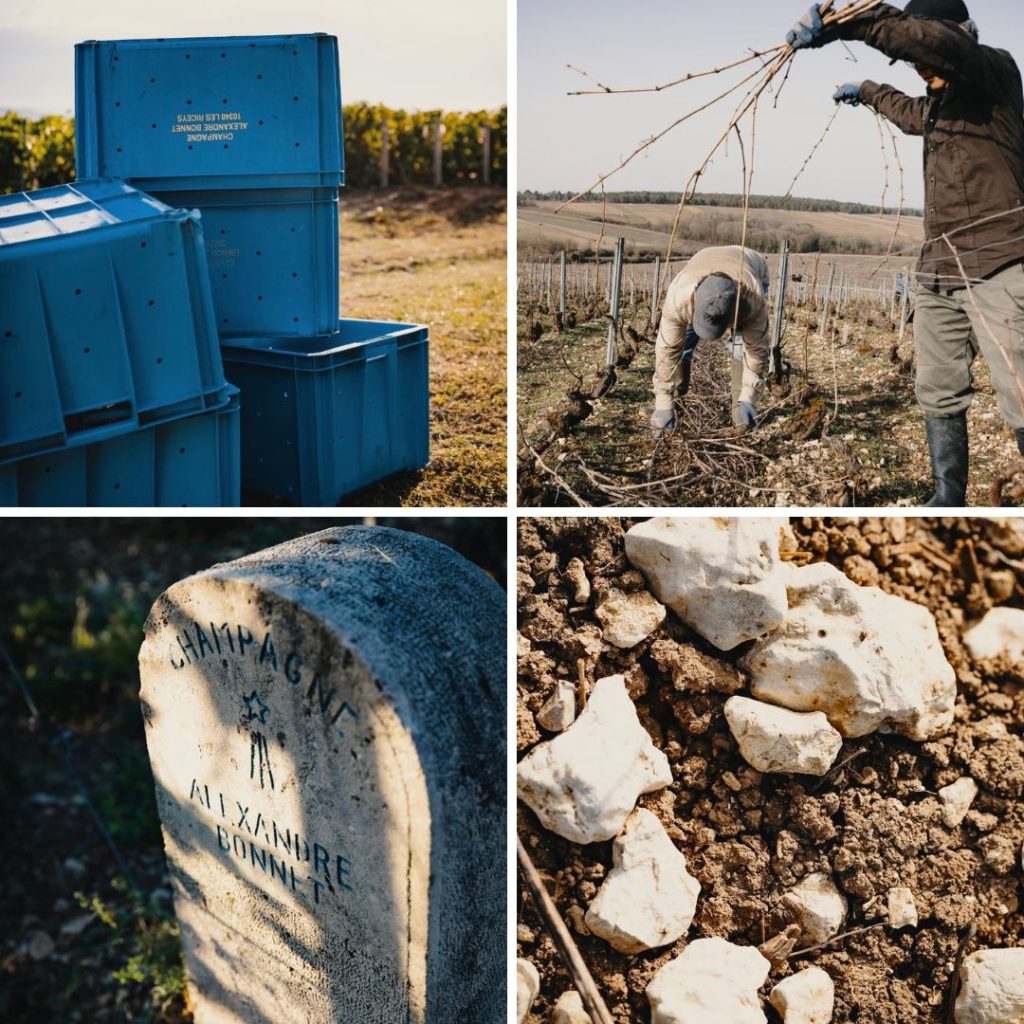 Domaine Alexandre Bonnet.