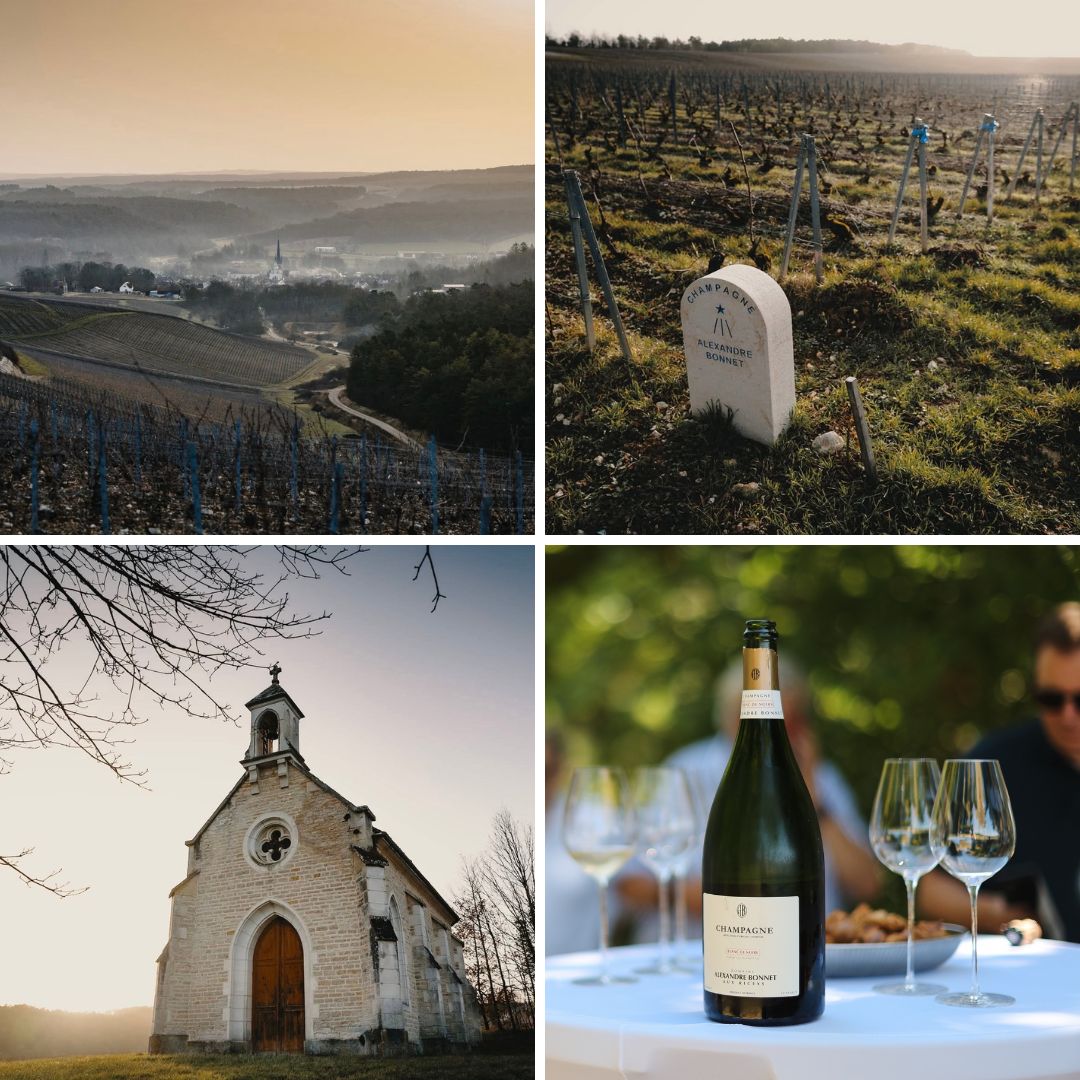 Les Riceys - Alexandre Bonnet