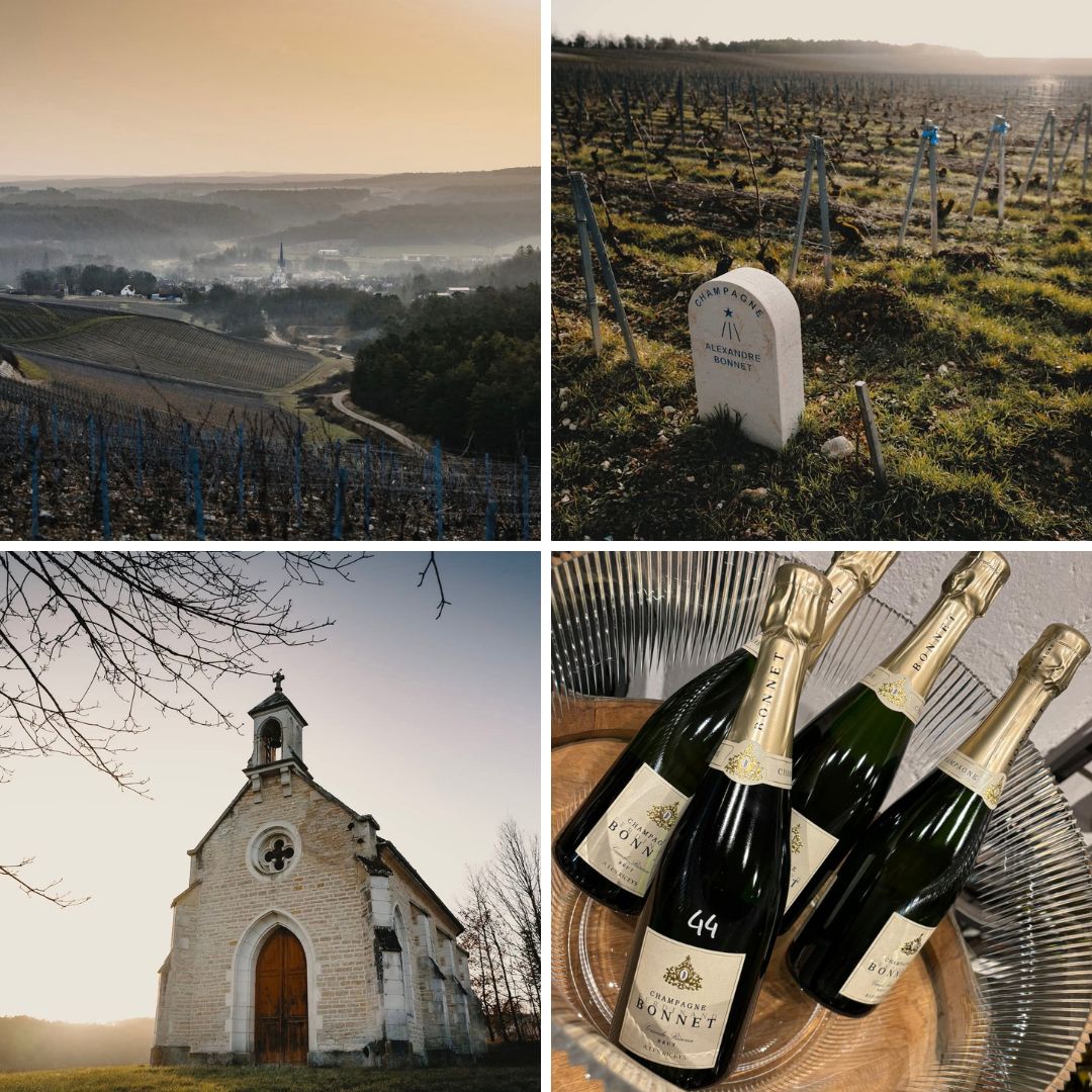 Les Riceys - Alexandre Bonnet