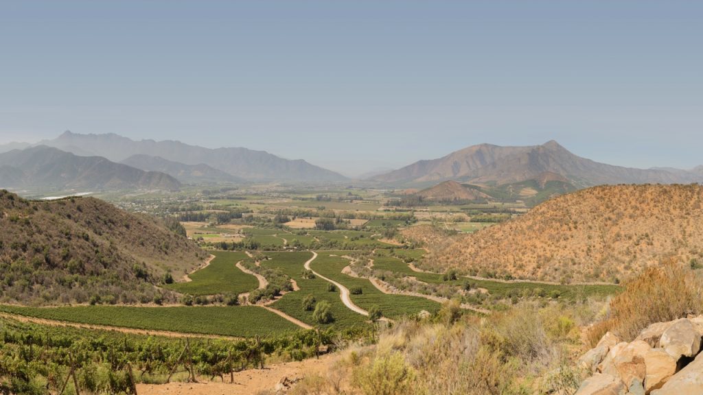 The Seña Vineyard.