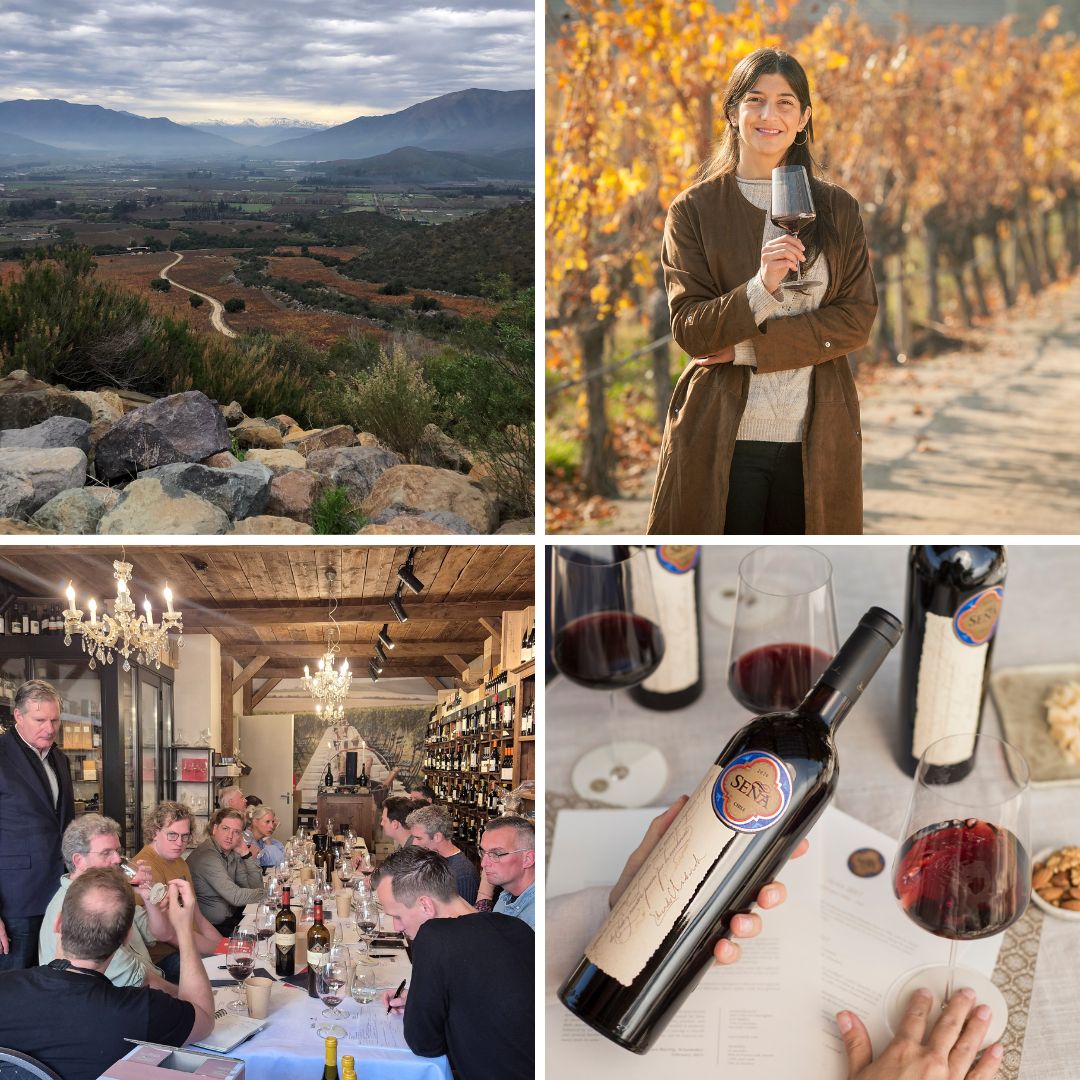 Vina Sena and Vinedo Chadwick.