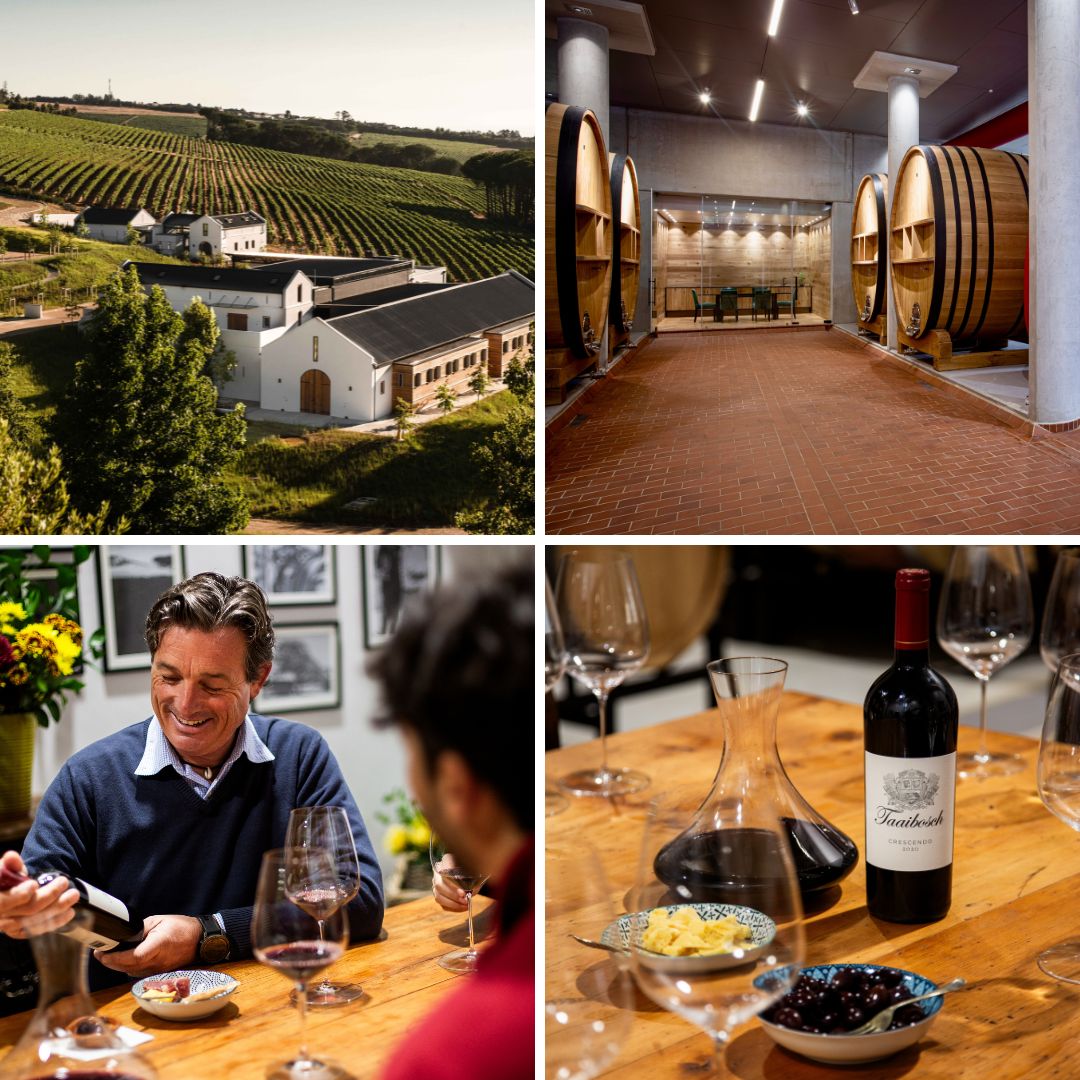 Taaibosch Winery.