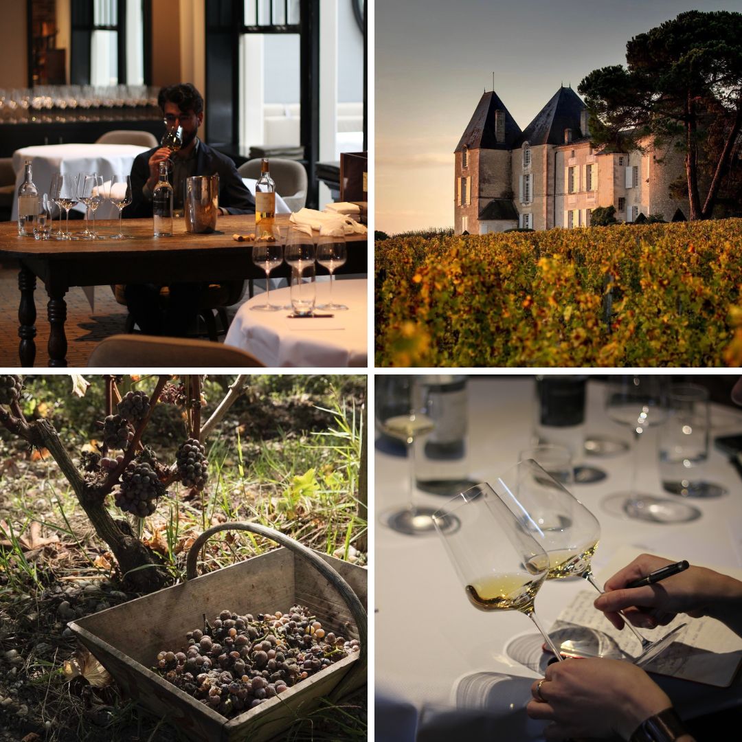 Chateau d'Yquem 2023.