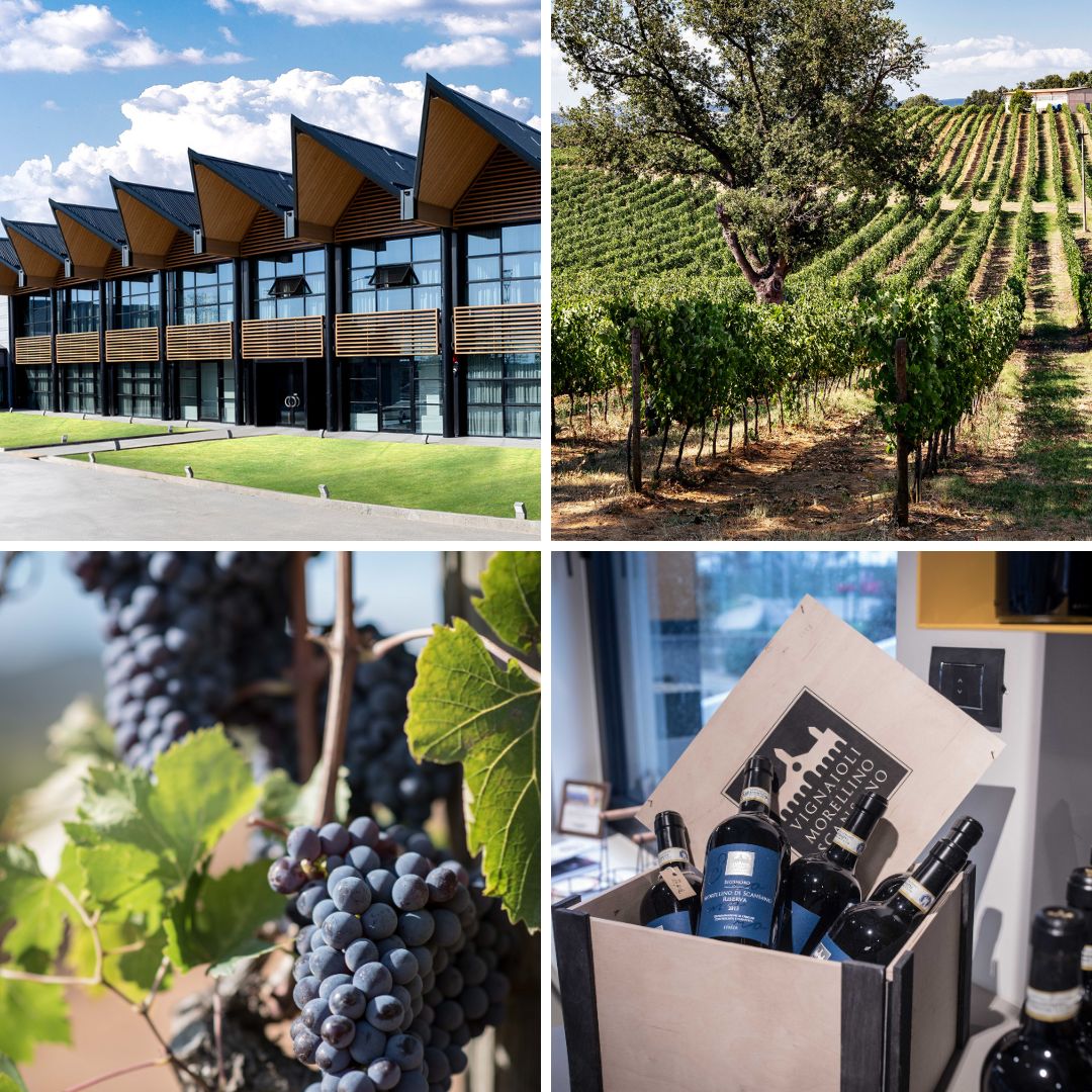 Cantina Vignaioli del Morellino di Scansano.