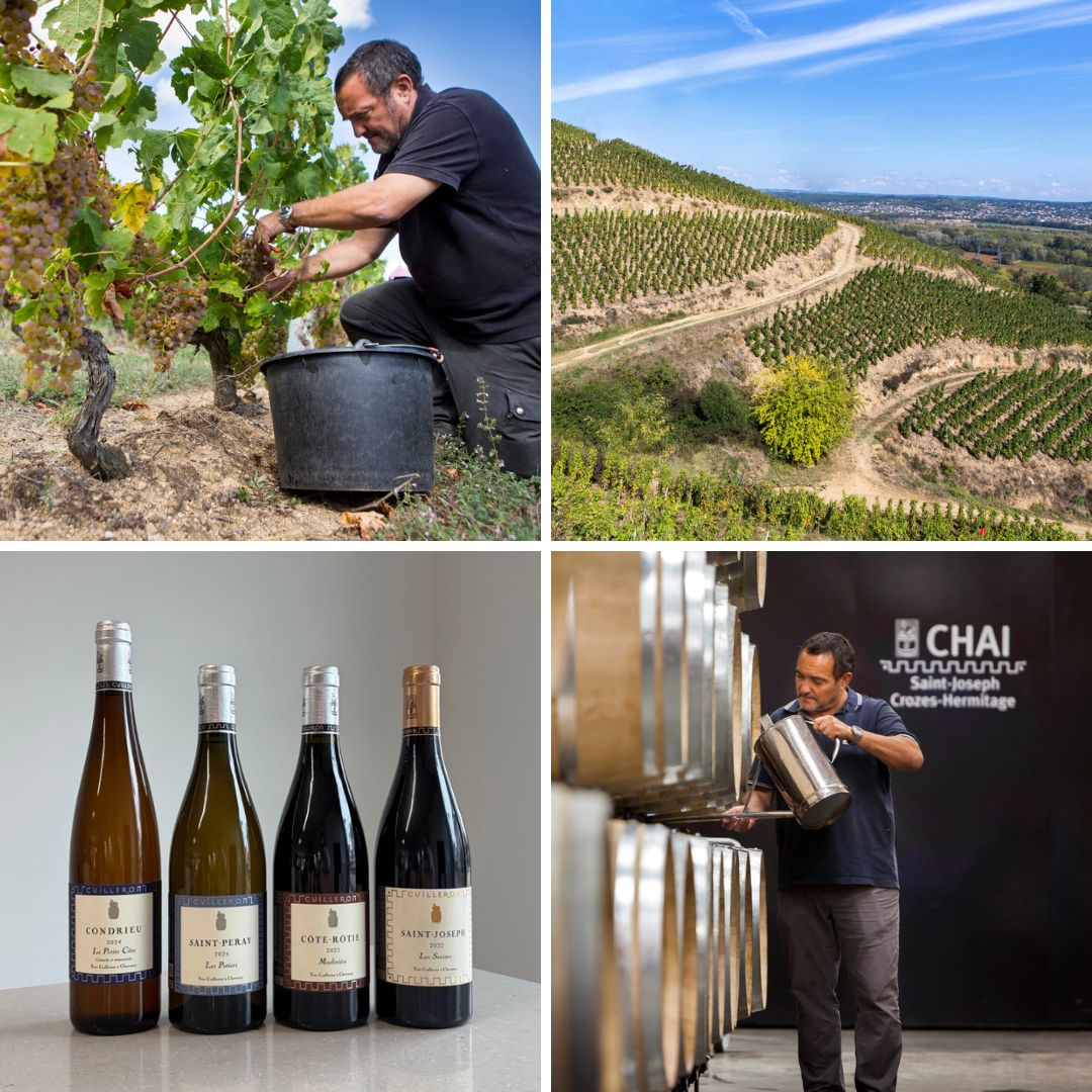 Cave Yves Cuilleron.