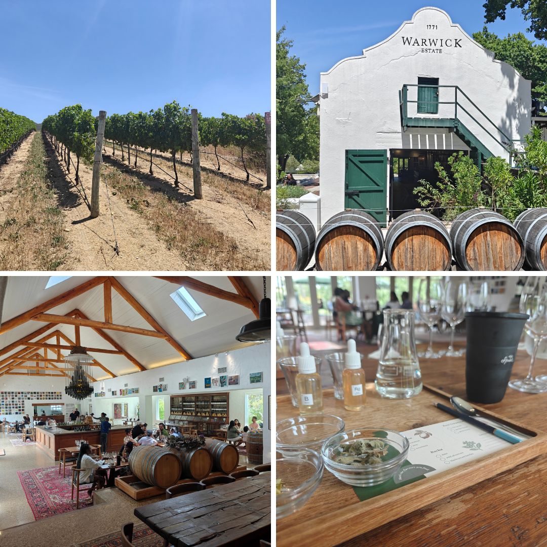 South Africa's Cape as a Brand in Motion.