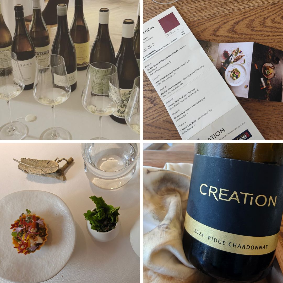 South Africa's Cape Beyond the Glass.