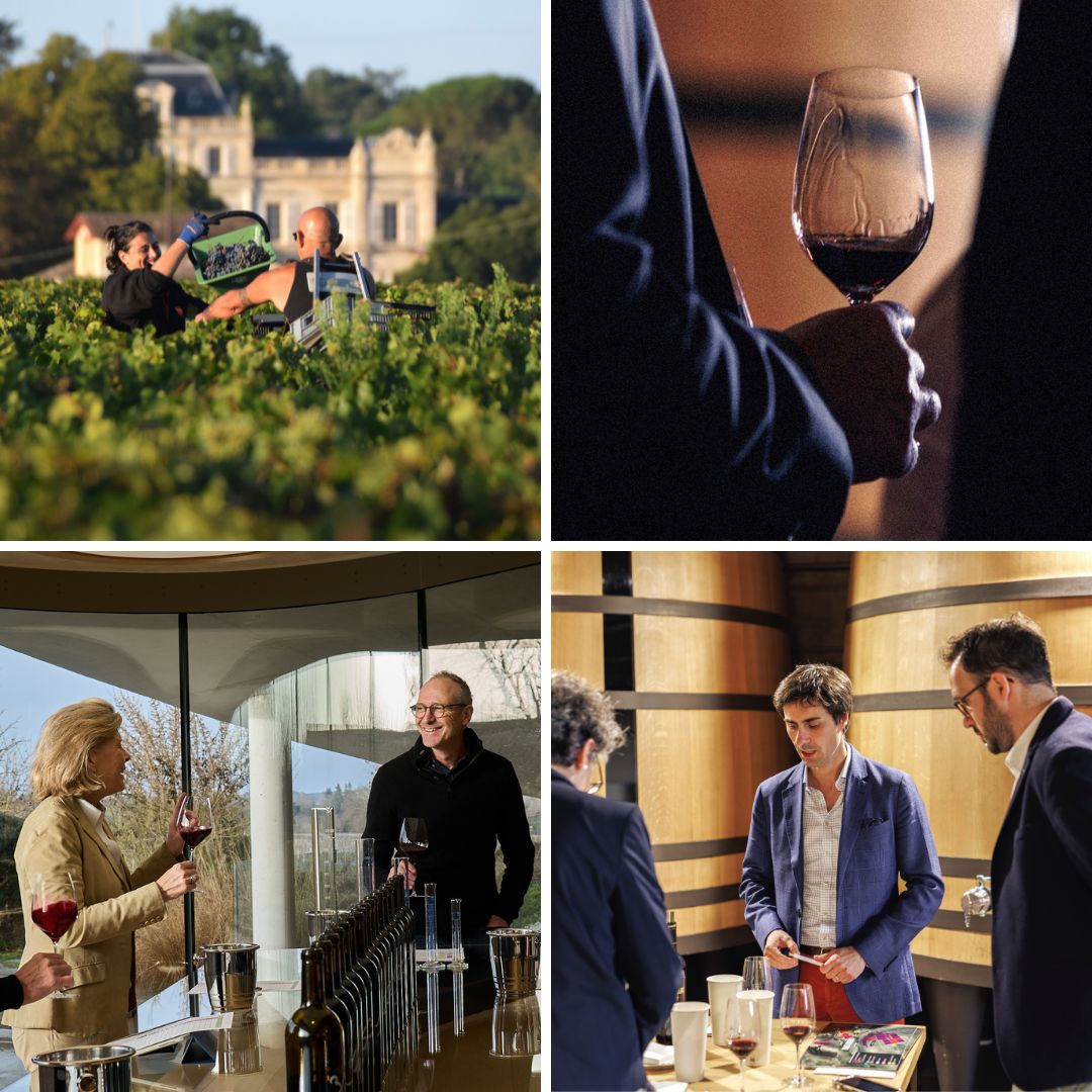 Bordeaux 2025 en-primeur.