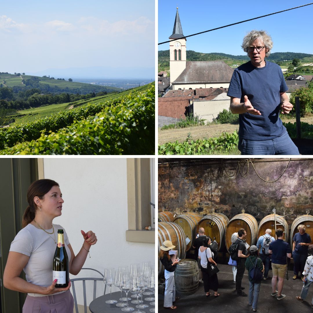 Germany’s Pinot Paradise, Part II: Baden.