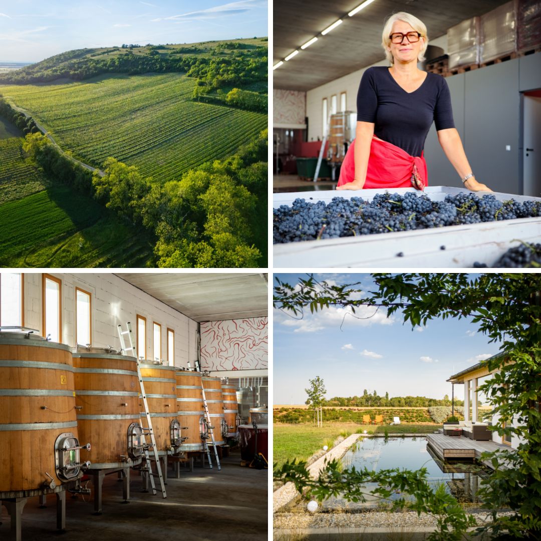 Dorli Muhr and Spitzerberg: The Pursuit of Blaufränkisch Perfection.