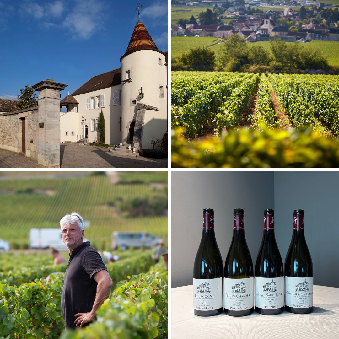 Domaine Perrot-Minot.