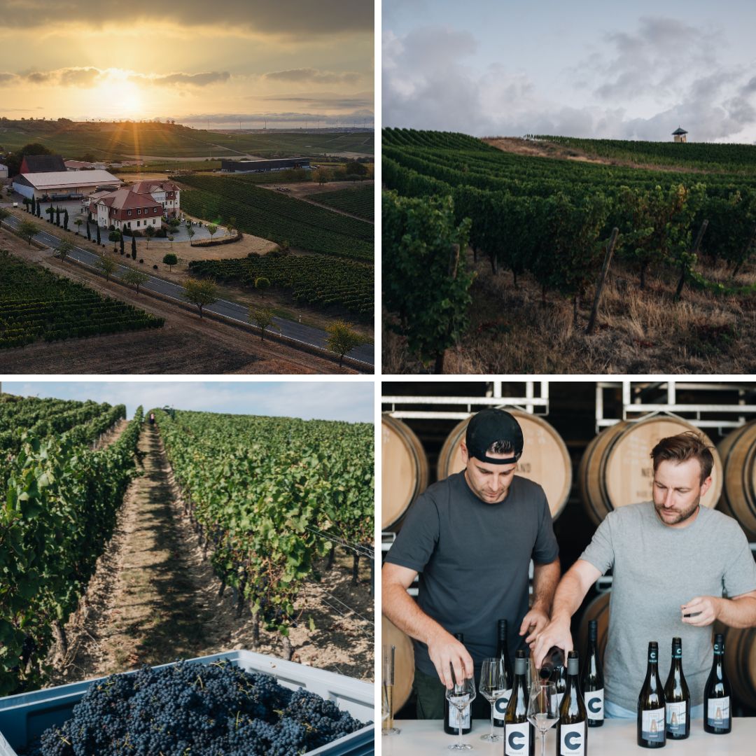 Neverland Vineyards.