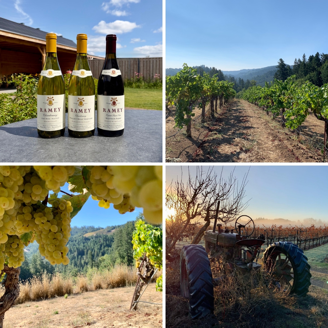 Ramey Wine Cellars: Understanding California Through Place